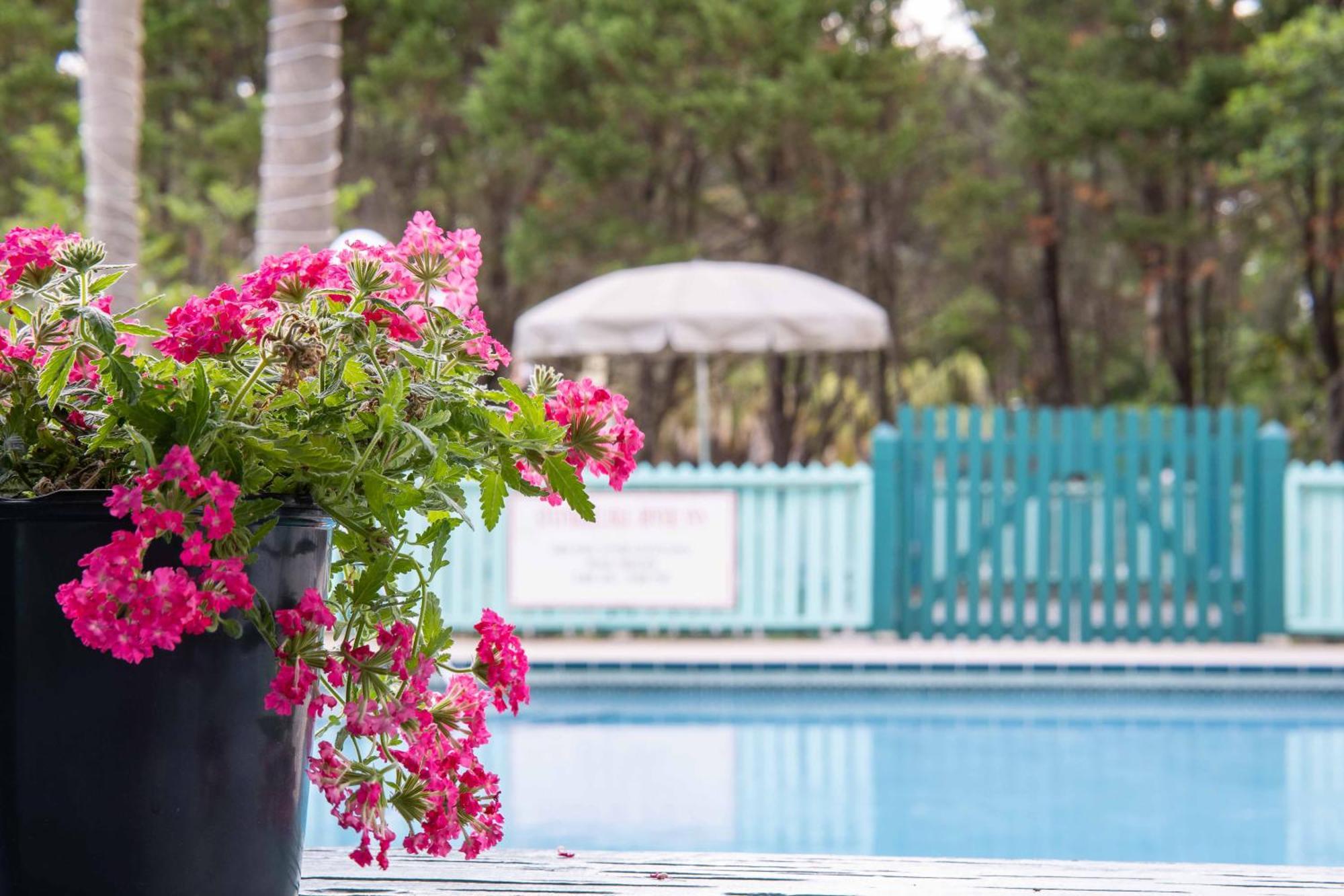 Steinhatchee River Inn And Marina Buitenkant foto