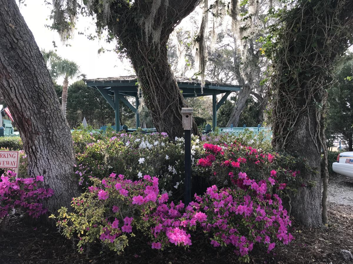 Steinhatchee River Inn And Marina Buitenkant foto